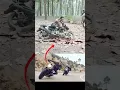 Download Lagu Action Movie BTS shooting🔥😨#filmmaking #bike #action #behindthescene #viral #shortsfeed #shorts