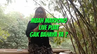 pijat mbah maryono ternyata juga ada live nya