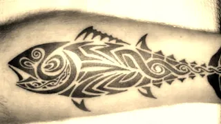 TOP 12 Amazing Tribal Dolphin Tattoo Ideas
