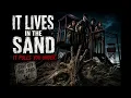 IT LIVES IN THE SAND and THE HOUSE ABOVE THE STONES AUTOREADER