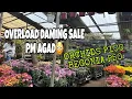 Lagu OVERLOAD SALE DAMI PAGPILIAN