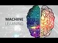 Machine Learning Engineer Subliminal