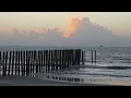 North Florida Surf and Beach Update 6 40 am 8 7 26