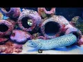 Epic Adventures at uShaka Marine World - Durban South Africa