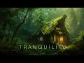 Download Lagu Tranquility - Deep Healing Relaxing Music - Meditation Ambient Music