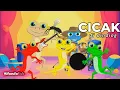Download Lagu Cicak-Cicak di Dinding 🦎 | Lagu Anak Balita Ceria