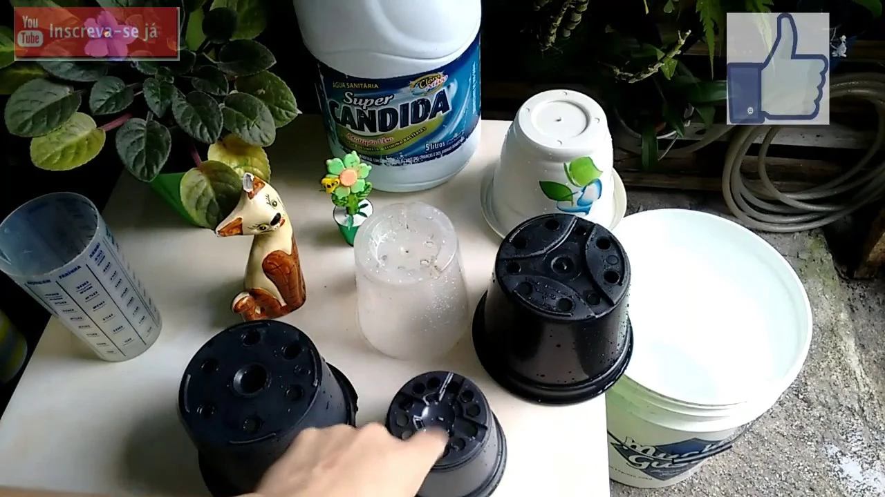 COMO ESTERILIZAR OS VASOS DAS ORQUÍDEAS!!!