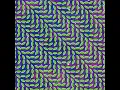 Animal Collective - My Girls