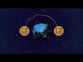 A Multinode Quantum Network explained