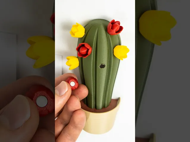 Fridge Magnet – SnapCacti - Featuring Detachable Magnet Blooms – Fun, Decorative, and Functional! video thumbnail