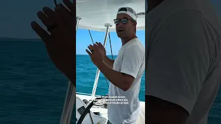 The wind moves our house in a light breeze w/ just a headsail. Still blows my mind. #Shorts #Sailing