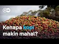 Lagu Harga kopi melonjak, apa saja yang jadi penyebabnya?
