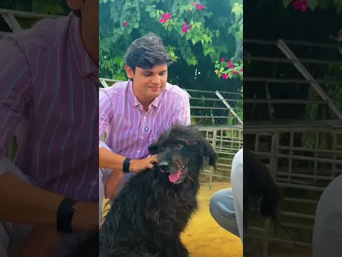 Dog care Centre ❤️ || Prashant kirad #dogcare #emotional #shelter