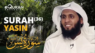 Download Surah Yasin (سورة يس) | Sheikh Mansour Al Salimi | eQuran Education MP3