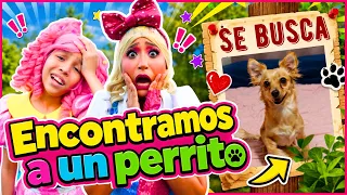 Encontramos a un PERRITO  | SE BUSCA PERRITO | FRANCHESCA Y SUS AMIGOS 