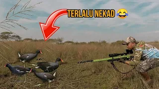 Download GILA ‼️ BERBURU MANDAR SAWAH DI SINI BIKIN KETAGIHAN MP3