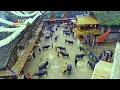 Download Lagu Pemakaman Termahal yang pernah ada di Sangalla Tana Toraja UNIK