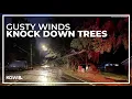 Tree falls in Vancouver power outages reported around western Oregon