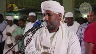 سورة إبراهيم تراويح 2019 شيخ الزين محمد أحمد 