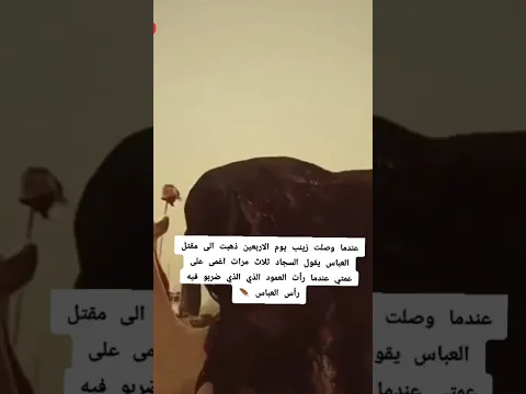 #يازينب #الامام_العباس #الامام_الحسين #ستوريات #الامام_علي#مرتضى_حرب #اكسبلور #يازهراء #متابعه