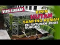 Download Lagu MEMBANGUN HUTAN BELANTARA KECIL DISAMPING RUMAH UNTUK KARANTINA BURUNG LIAR  #versi_lengkap