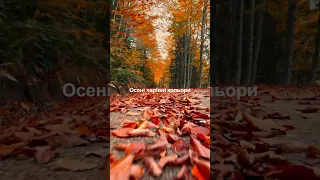 Промінь сонця небо край цілує Коротка версія початок варіант перший 