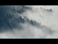 Sierra I inola #music #cinematic #rest