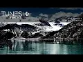 DJ Snake feat. Alesia - Bird Machine (Original Mix)