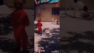 امشي امشي امشي وعيونك قدامك ضهرك محمي وانا حزامك 