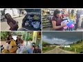 Download Lagu SERÁ QUE VOU CONSEGUIR ENCHER O PORTA MALAS DE COMPRAS 😂 HOJE FUI JUNTO COM O JP FAZER A FEIRA 🥰