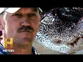 Everything on the Line in Gator Country Marathon Swamp People