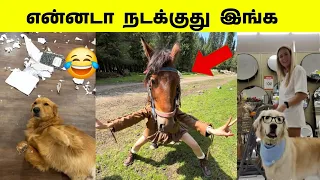 போயிட்டு வர்றதுக்குள்ள எல்லாத்தையும் பிச்சு போட்டுட்டான் 🤣