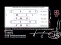 DNA fingerprint - electrophoresis of restriction fragments