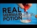 Download Lagu How To Become A Mermaid - A Potion That Really Works