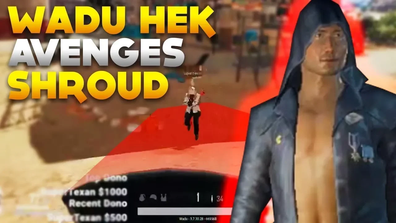 Wadu Hek Best Killshots || Better Than Shroud???