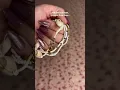 Download Lagu Bracelets from Temu🤍 comment for the link ✨ #temu #jewellery #beads #shells #bracelets #viralvideo