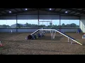 Kirby in Agility Class on July 15 2020