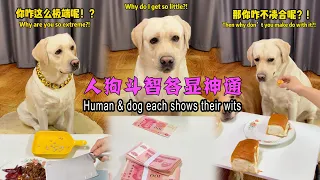 人狗斗智各显神通 Human & dog each shows their wits#搞笑汪驾到 #萌寵 #寵物 #搞笑 #拉布拉多 #doglover #Labrador #labrado #dog
