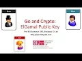 Go and Crypto ElGamal Public Key Encryption
