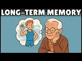 Long Term Memory Definition Easiest Explanation