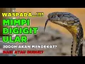 Download Lagu WASPADA❓ARTI MIMPI DIGIGIT ULAR MENIRUT PANDANGAN ISLAM