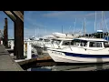 The C-Brat Dock Walk