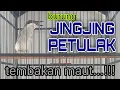 Download Lagu JINGJING PETULAK GACOR  !!! masteran burung kicau