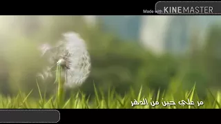 طهورا يا قلب   الجوري الهاشمي دندنها