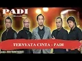 Download Lagu TERNYATA CINTA   PADI Karaoke