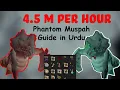 Phantom Muspah Guide in 4 5 M Per Hour from Phantom Muspah OSRS