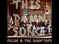 This Damn Song - Pecos & the Rooftops