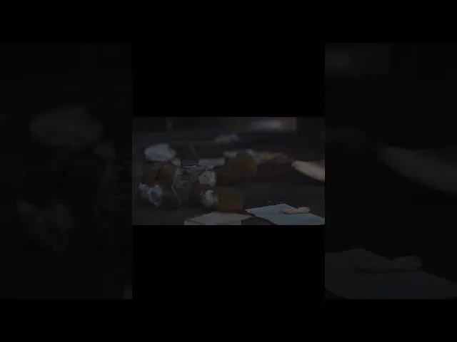 background images