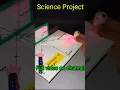 Reflection of Light Science Project
