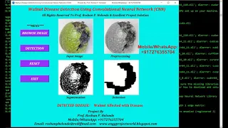 Walnut Disease Detection Using Convolutional Neural Network CNN Python Project with Source Code